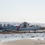 fototorrepali_02 Pescatori a Torre Pali nel Salento