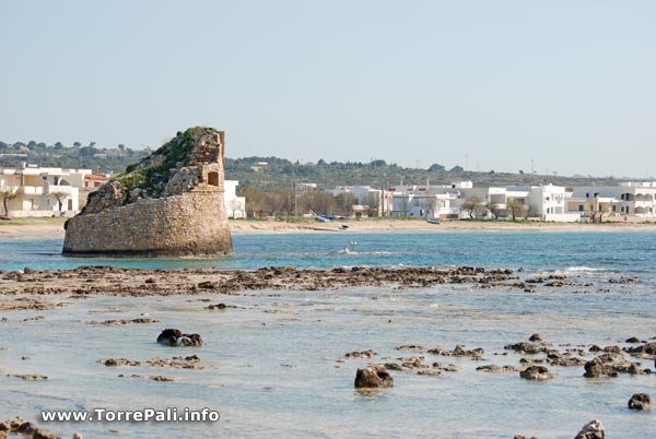 Torre di torre pali