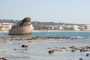 Foto Torre Pali