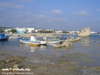 torrepali_colucci2
