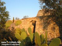 campagna_payara_lr
