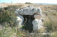 fotodelbassosalento-10